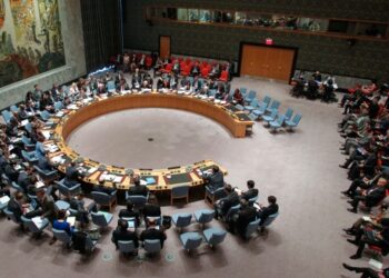 СБ ООН согласовал проект резолюции по Боингу