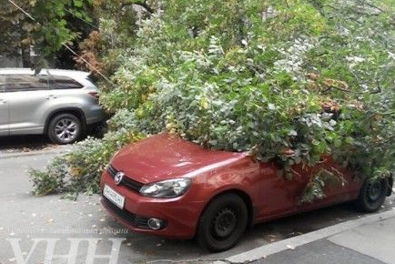 В Киеве на улице Станиславского, 3, во дворе дома рухнуло дерево, задев и повредив при этом несколько автомобилей, передает УНН. По словам очевидцев, в результате обрушения дерева люди не пострадали.