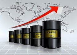 Цены на нефть растут на фоне прогнозов МВФ