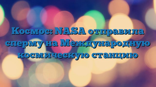 Космос: NASA отправила сперму на Международную космическую станцию