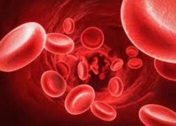 Учёные нашли новый способ лечения рака крови