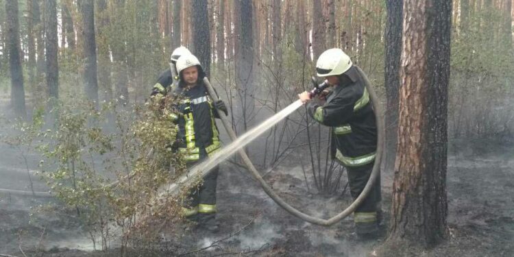 В Деснянском районе Киева горит травяной настил на площади 3 га