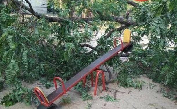 В Киеве дерево упало на детскую площадку: опубликованы пугающие фото