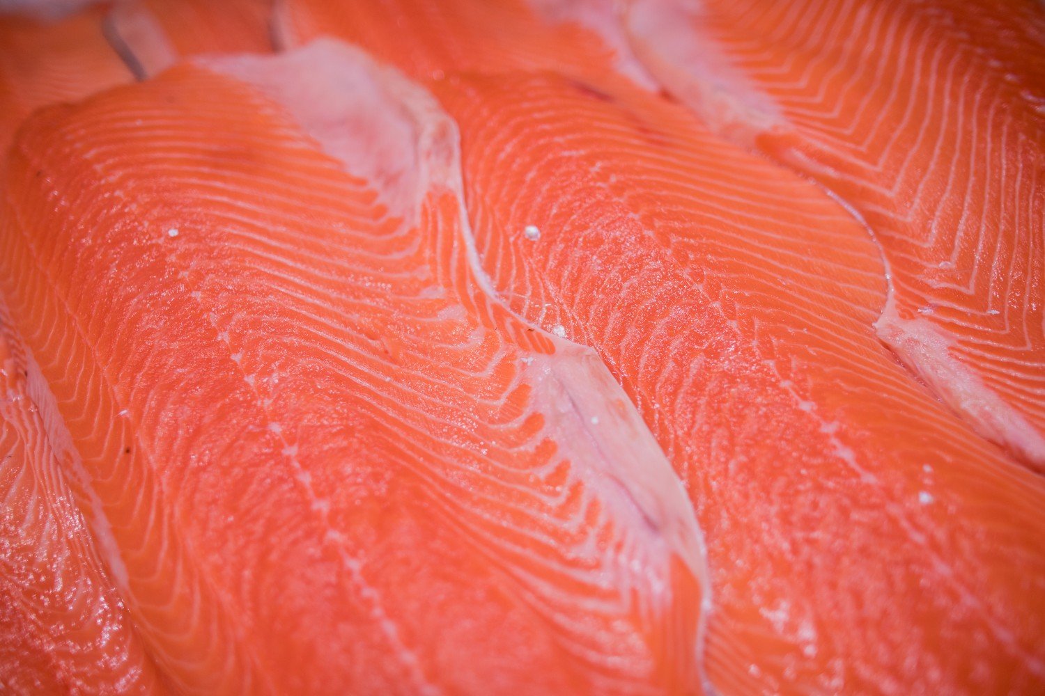 Salmon/ Global look