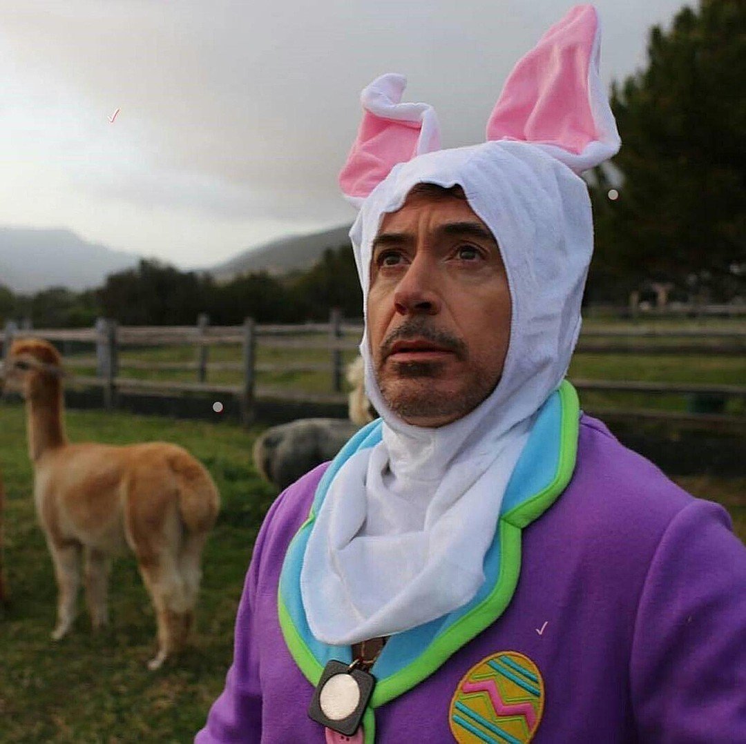 Роберт Дауни-младший и в жизни готов подурачиться. Например, сыграть на Пасху роль пасхального кролика. Фото: GLOBAL LOOK PRESS