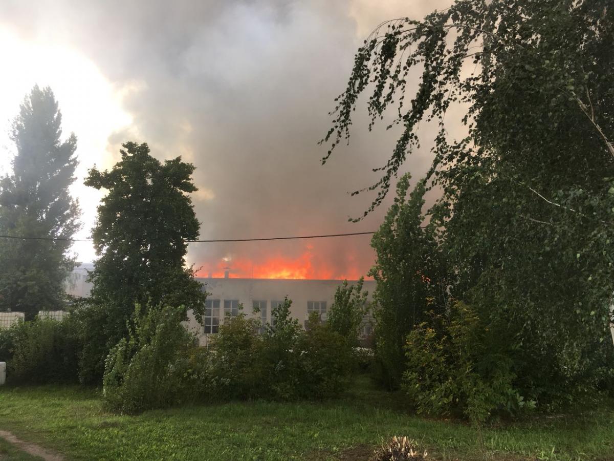 Площадь пожара сейчас составляет ориентировочно 3 тыс. кв. м. / фото zhytomyr.dsns.gov.ua