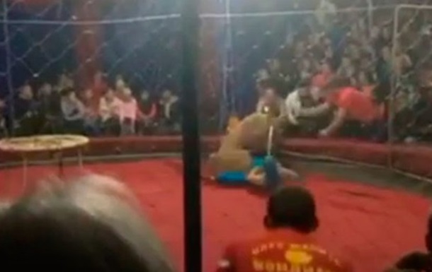 <span class="label red">Видео</span> В России львица напала на трехлетнюю девочку в цирке