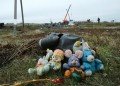 В Нидерландах просят расследовать роль Украины в деле MH17