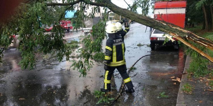 Ураган в Киеве: ветер валит деревья и блокирует дороги - новости Украины - Киев