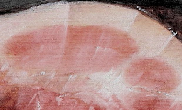 Вредит ли мясо здоровью: анализ метаанализа