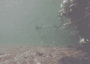 Робот-краб поможет исследовать морское дно