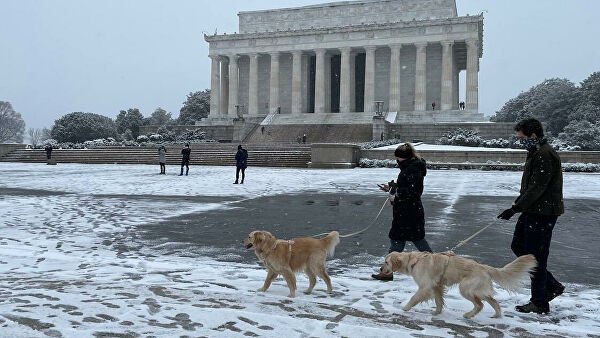 Жители гуляют с собаками у Мемориала Линкольну в Вашингтоне