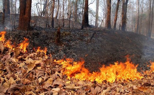 pogoda v krivom roge na nedelyu spasateli predupredili o vysokoj.jpg