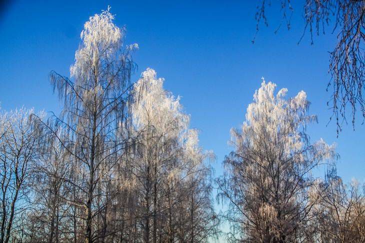 В начале недели в Беларуси потеплеет до плюс 7 градусов