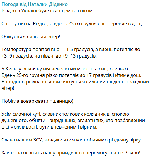 Народный синоптик Диденко предупредила о резких изменениях в рождественской погоде