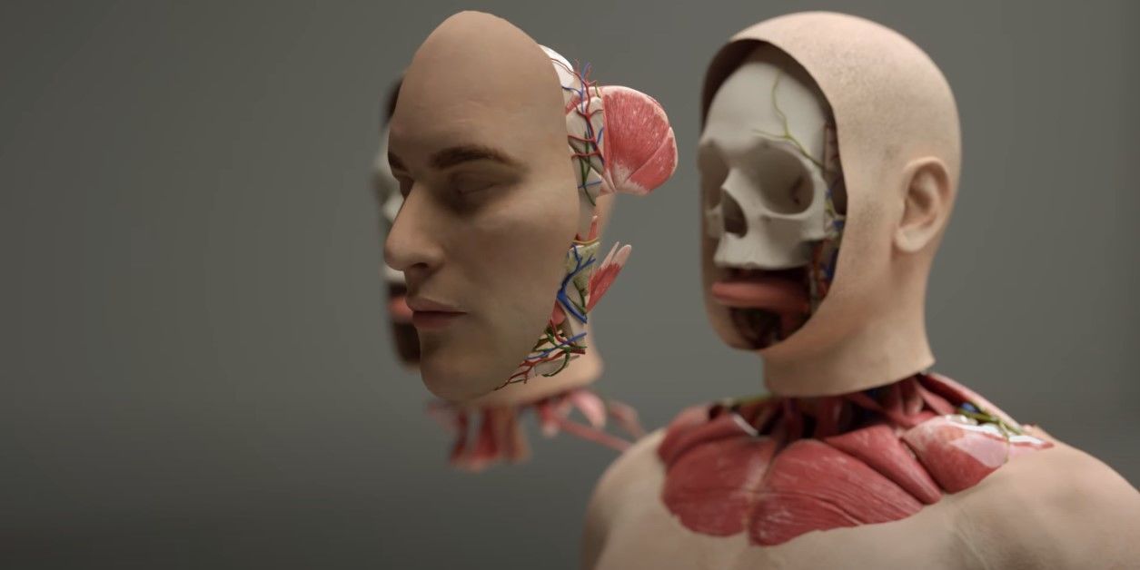 Первая в мире система трансплантации головы / Фото: BrainBridge / ©