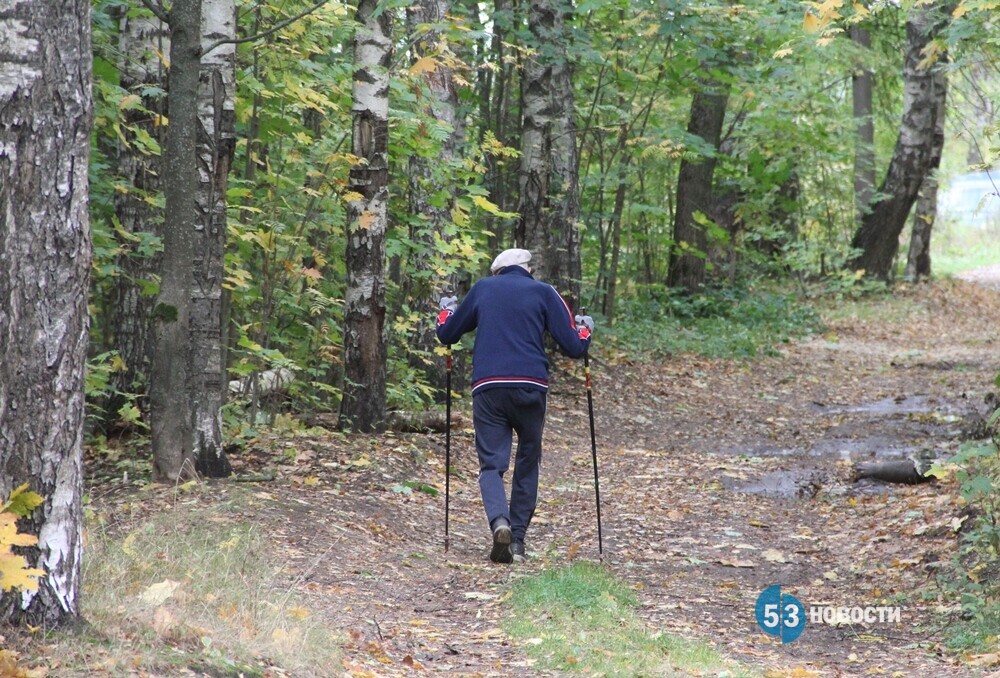 Как сохранить здоровье в дачный сезон? Советы от терапевта