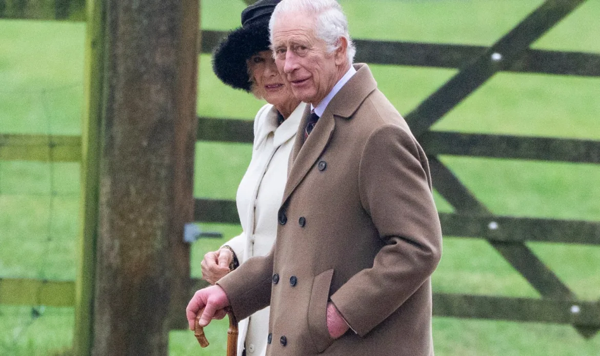 king charles makes first public appearance since revealing cancer diagnosis.jpg