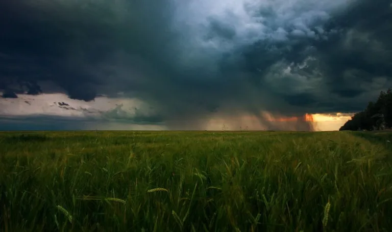 v ukrainu vorvetsya atmosfernyj front budut dozhdi sinoptiki dali prognoz.jpg