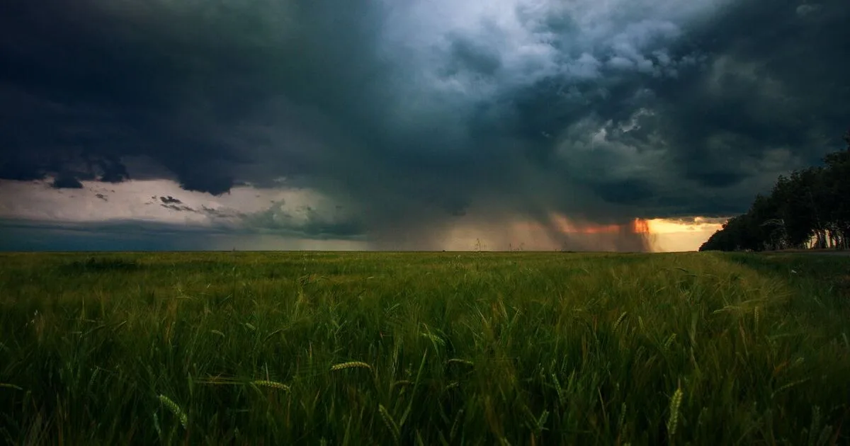 v ukrainu vorvetsya atmosfernyj front budut dozhdi sinoptiki dali prognoz.jpg