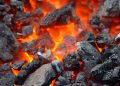 Сокращение выбросов угольных электростанций улучшило здоровье горожан