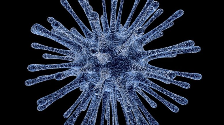 Япония вирус аномалия вирус медицина здоровье (новости): В Японии выявили в горячих источниках исполинских размеров вредоносный вирус– 28.05.2019