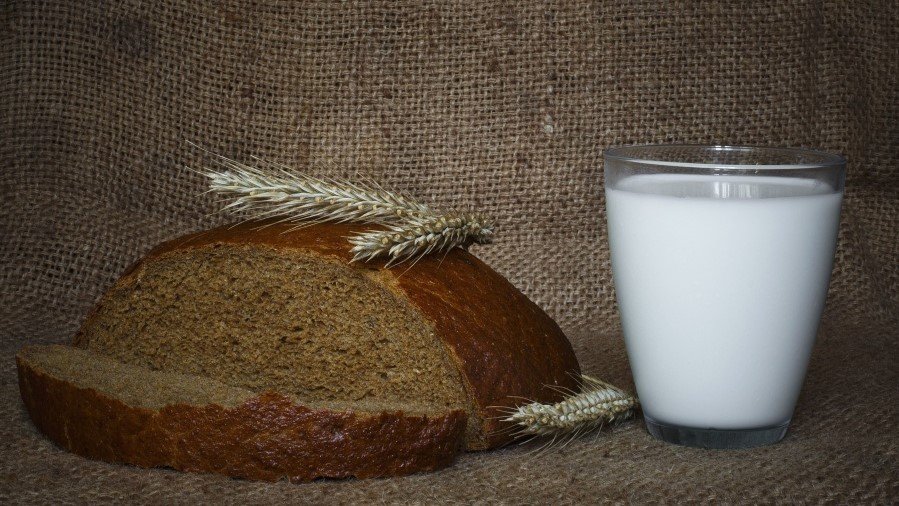 Правильное питание для здоровья: мифы о вреде молока и глютена